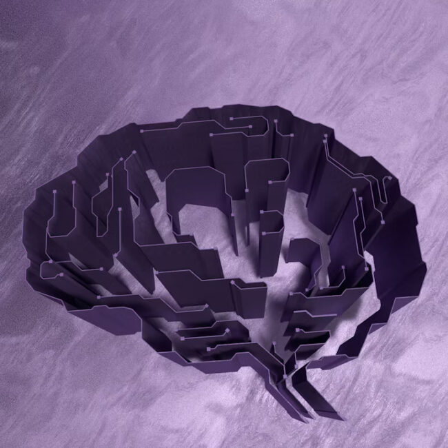 purple brain map